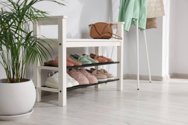 Farklı şık ayakkabılar, poşetler ve ev bitkileriyle ayakta durun. Metin için boşluk