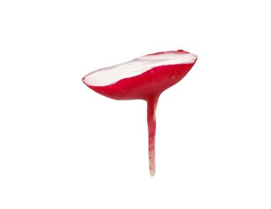 Beyaz üzerine izole edilmiş taze olgun turp dilimi.