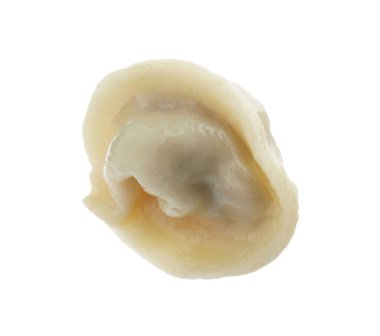 Bir lezzetli haşlanmış hamur köftesi, beyazın üzerinde izole edilmiş.