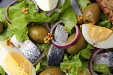 Ringa balığı, yumurta, hardal ve sebzeli nefis salata.