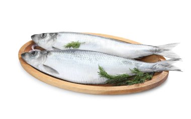 Beyaz zemin üzerinde tuzlu ringa balığı, soğan ve dereotu.