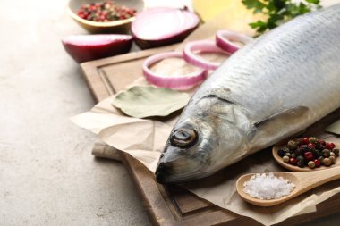 Açık gri masada tuzlanmış ringa balığı ve baharat, yakın plan. Metin için boşluk