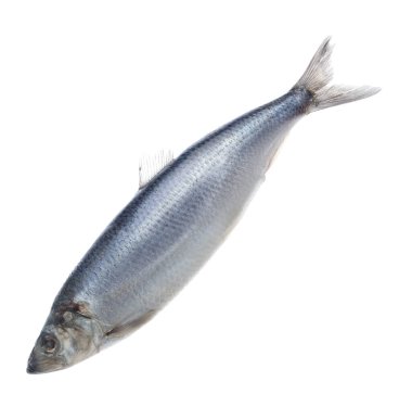 Tamamen lezzetli bir ringa balığı beyaz renkte izole edilmiş.