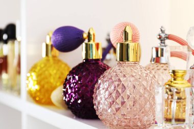 Dükkandaki raflarda farklı lüks parfüm şişeleri var.