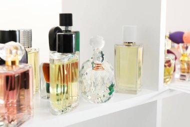 Dükkandaki raflarda farklı lüks parfüm şişeleri var.