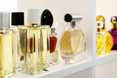 Dükkandaki raflarda farklı lüks parfüm şişeleri var.