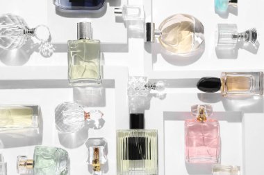 Beyaz arka planda farklı lüks parfümler, düz yatış