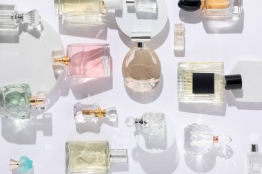 Beyaz arka planda farklı lüks parfümler, düz yatış