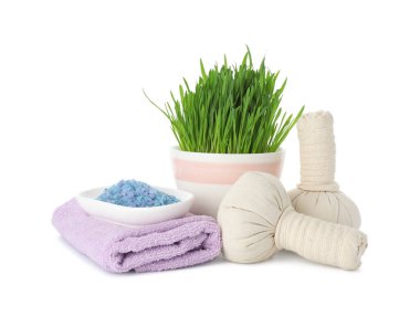 Spa composition with wheatgrass and herbal bags isolated on white