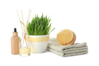 Spa composition with wheatgrass isolated on white