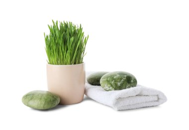 Spa composition with wheatgrass isolated on white