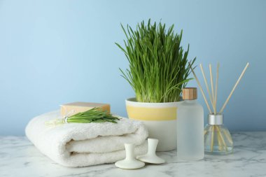 Spa composition with wheatgrass on white marble table. Space for text
