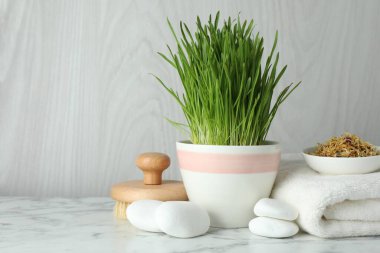 Spa composition with wheatgrass on white marble table. Space for text