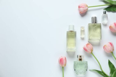 Parfüm şişeleri ve beyaz arka planda güzel çiçekler. Metin için boşluk