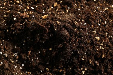 Arka plan olarak taze toprağın dokusu, yakın plan
