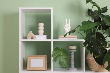 Salonda zeytin duvarının yanında dekorasyonu olan raf ünitesi.