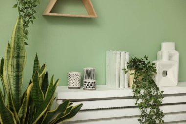 Saksı çiçekleri, farklı ev dekorasyonu ve açık yeşil duvarın yanındaki çekmeceler.