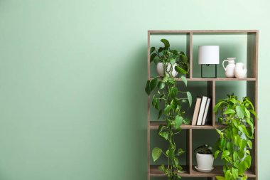 İçerideki yeşil duvarın yanında ev bitkileri ve diğer dekorlara sahip raf ünitesi, metin için alan