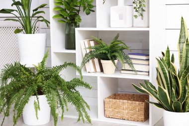 Evde farklı yeşil desenlere sahip raf ünitesi.