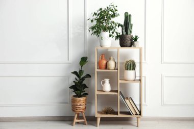 Beyaz duvarın yanında ev bitkileri ve diğer dekorlarla raf ünitesi.