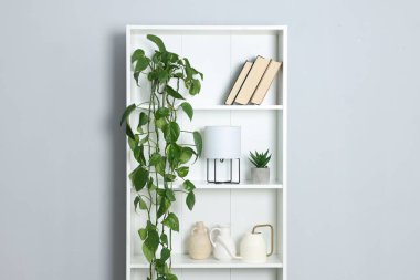 Ev bitkileri ve gri duvarın yanındaki diğer dekorları rafa kaldırıyorum.