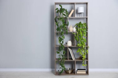 Gri duvarın yanında ev bitkileri ve diğer dekorları olan raf ünitesi. Metin için boşluk