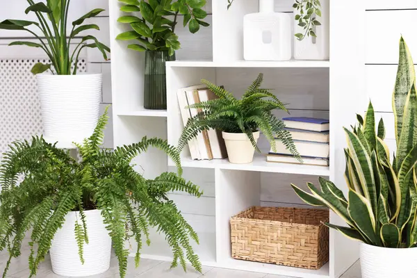 Evde farklı yeşil desenlere sahip raf ünitesi.