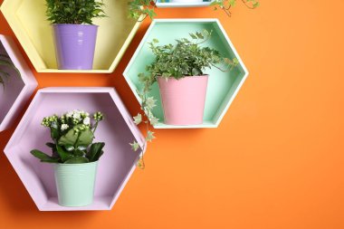 Turuncu duvarda çiçekleri olan renkli bal peteği şekilli raflar, yakın plan.