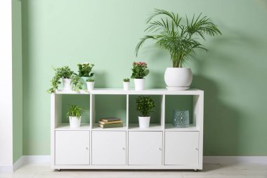 Evde beyaz tuvalette farklı bitkiler var.