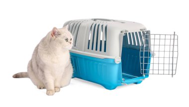 Sevimli kedi ve evcil hayvan taşıyıcısı beyaz üzerinde izole edilmiş.