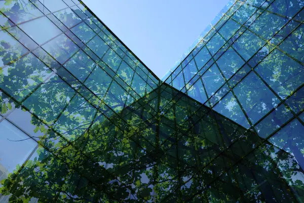 Modern bina ve bereketli ağaç, mavi gökyüzüne karşı, çift pozlama. Düşük açı görünümü