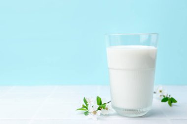 Açık mavi arka planda beyaz fayanslı masada bir bardak taze süt ve çiçek. Metin için boşluk