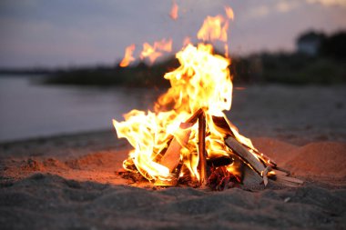 Sahilde yakacak odunları olan güzel şenlik ateşi.