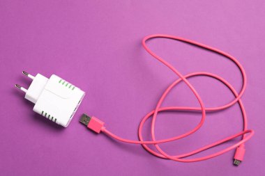 USB güç adaptörü ve mor arka planda şarj kablosu, düz yatıyordu