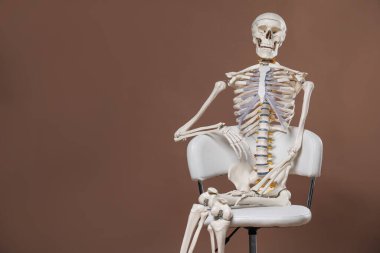 Açık kahverengi arkaplan üzerinde oturan yapay insan iskelet modeli, metin için boşluk