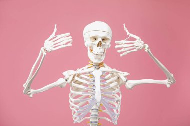Pembe arka planda yapay insan iskeleti modeli