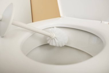 Cleaning toilet bowl with white brush indoors, closeup