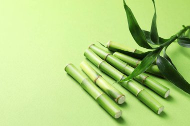 Açık yeşil arka planda bambu sapları ve yaprakları kesin, yakın plan. Metin için boşluk