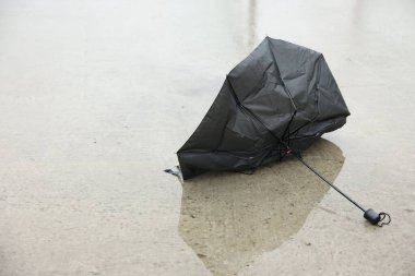 Islak asfaltta kırık siyah şemsiye.