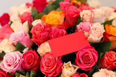 Boş kartla güzel güller, yakın plan.