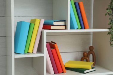 İçerideki raflarla ilgili bir sürü renkli kitap.