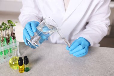 Biyokimya. Gri masada bitki ve sıvılarla çalışan bilim adamı, yakın plan.