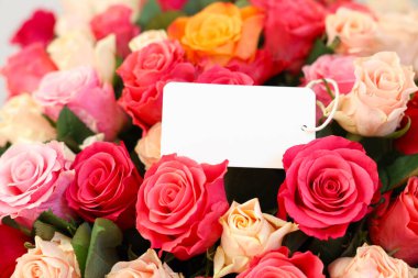 Boş kartla güzel güller, yakın plan.