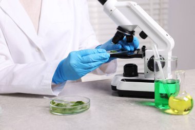 Biyokimya. Laboratuvarda, gri masada bitki ve sıvılarla çalışan bilim adamı.