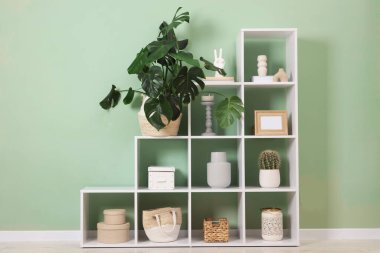 Salonda zeytin duvarının yanında dekorasyonu olan raf ünitesi.