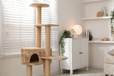 Şık kedi ağacı ve çekmeceler oturma odasında.