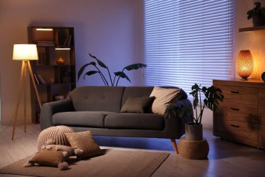 Rahat kanepesi ve ahşap raf ünitesi olan şık bir oturma odası. İç tasarım