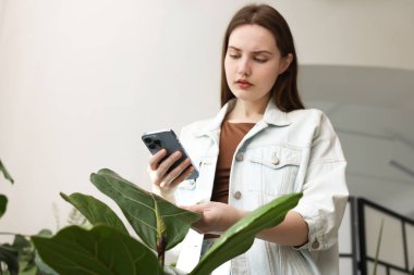 Evdeki akıllı telefondan ev bitkisi tanıma uygulaması kullanan bir kadın. Metin için boşluk