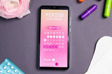 Dönem takvimi uygulamalı akıllı telefon, regl ürünleri ve gri arka planda çiçek, düz konum