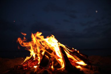 Güzel şenlik ateşi. Geceleri kumsalda yakacak odun var.